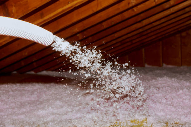 Best Attic Insulation Installation  in Groveland, FL