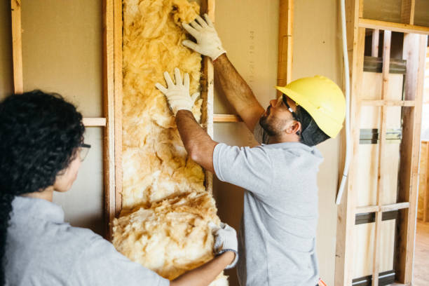 Best Energy-efficient Insulation  in Groveland, FL